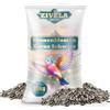 ZIVELA Semi di girasole nero, 25 kg, semi di girasole neri per uccelli, qualità premium, ricchi di sostanze nutritive e gustosi per i vostri amici piumati, Zivela