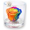 Premium-rose.com Box tondo con rosa multicolor stabilizzata Profumata,box da 9cm con Rosa eterna multicolore Vera Eterna | Idea Regalo Compleanno, anniversario, Natale, | Fatto in Italia (Multicolore 1400)