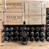 Fattoria Mancini Blu 2022 Marche Rosso IGT