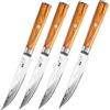 FUJUNI Set Coltelli da Bistecca Lama Liscia, 4 Pezzi, Coltello Lama Damasco 12,5CM, 67 Strati Acciaio Damasco VG10 Set Coltelli da Tavola Professionale con Manico in Legno d'Ulivo