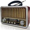 BliMySwe Radio Portatile Retrò, AM/SW/FM/DAB Piccola Radio Bluetooth, Radiolina Portatile Ricaricabile con Supporto TWS/USB/TF Card/Funzione BT5.0, Bluetooth Radio Vintage per Cucina, Scrivania, Esterni