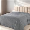 HOZY Coperta Plaid Pile, Coperta Matrimoniale 230 x 270 cm Flanella, Coperta Divano Super Grande Caldo Morbida - Grigio Chiaro