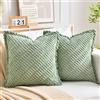 LRartdeco Federe Cuscini Set di 2 in Velluto Copricuscini per Divano Camera da Letto Federa Quadrata e Decorativa in Tinta Unita Foedere Eleganti per Letto Matrimoniale Arredo 45X45 CM verde salvia