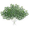 DEMIUKO 12Pz Italiano Ruscus Artificiali Steli Verde Piante Finto Ramoscelli Foglie di Salice Rami Piante per Bouquet da Sposa Cerimonia Nuziale Decorazione da Tavola Complementi Arredo Casa