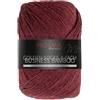 Unbekannt Pro Lana Golden Socks Business Bamboo - Gomitolo di lana per calzini, circa 400 m, colore 511, 100 g