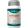 ERBA VITA Tribulus 60 capsule