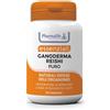 PHARMALIFE RESEARCH Srl GANODERMA PURO 90CPR
