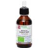 FITOMEDICAL Srl BETULLA BI SEMI MG BIO 100ML