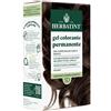 ANTICA ERBORISTERIA SpA HERBATINT 5D CASTANO CHI DOR
