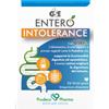 PRODECO PHARMA Srl GSE ENTERO INTOLERANCE 20STICK