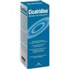 FARMA-DERMA Srl CICATRIDINA Dermo-Det.200ml