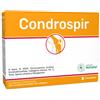 ANVEST HEALTH Srl CONDROSPIR 14 Bust.