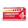 ALFASIGMA SpA Carnidyn Boost - integratore tonico a base di Carnitina e Alpinia Galanga per extra energia - utile in caso di stanchezza, spossatezza 10 FLACONCINI