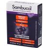 NAMED Srl SAMBUCOL IMMUNOFORTE 30CPS