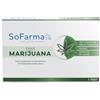 SO.FARMA.MORRA SpA SF+ TEST MARIJUANA AUTODIAGN