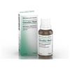 BIOLOGISCHE HEILM. HEEL GMBH COCCULUS HEEL GTT OS 30ML