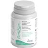 AURORA BIOFARMA Srl BENDIAR MAXI 20CPR