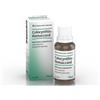 BIOLOGISCHE HEILM. HEEL GMBH COLOCYNTHIS HOMAC Gtt 30ml