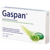 DR.WILLMAR SCHWABE GmbH&CO.KG GASPAN 14CPS MOLLI GASTRORES