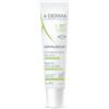 ADERMA (Pierre Fabre It.SpA) A-DERMA DERMALIBOUR + CICA Balsamo Labbra Ristrutturante 15mL
