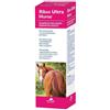 N.B.F. LANES Srl RIBES HORSE SH&BALS ULTRA 1LT