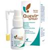 PHARMEXTRACTA SpA QUEVIR Spray Orale 20ml