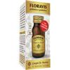 DR.GIORGINI SER-VIS Srl FLORAVIS 80 Past.500mg