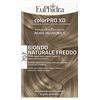 ZETA FARMACEUTICI SpA EUPHIDRA COLORPRO XD 707 BIOND