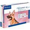 VIRBAC Srl EFFIPRO Duo Cane 20-40(4x2,68)