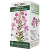 DR.GIORGINI SER-VIS Srl EPILOBIO Estr.Int.Secco SVS