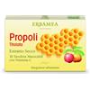 ERBAMEA Srl PROPOLI Tit.30 Tav.Mast.EBM