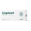 MC STONE ITALIA Srl COGNIZANT 10FL.