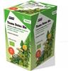 SALUS HAUS Gmbh & Co KG DETOX BIO TISANA 40 FILTRI 72G