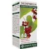 DR.GIORGINI SER-VIS Srl SALSAPARIGLIA ESTR INTEG 200ML