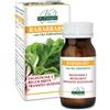 DR.GIORGINI SER-VIS Srl RABARBARO 80PAST