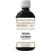 DR.GIORGINI SER-VIS Srl ROSA CANINA LIQ ANAL GEMMO 10+