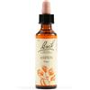 SCHWABE PHARMA ITALIA Srl ASPEN BACH ORIG 20ML