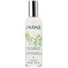 CAUDALIE ITALIA Srl CAUDALIE ACQUA DI BELLEZZA Pelle Devitalizzata 100ml
