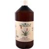 NATUR-FARMA Srl Natur Farma Aloe Arboresc Puro Succo 1000 ml