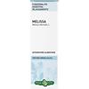 ERBA VITA GROUP SpA MELISSA FGL TINT IAL 50ML EBV
