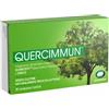 SCHARPER SpA QUERCIMMUN 30CPR RIV