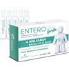 PALADIN PHARMA SpA ENTEROLIFE 4 MLD 20 FIALE