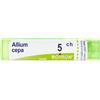 BOIRON Srl ALLIUM CEPA Tubo 5CH