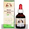 ERBENOBILI Srl FITOBLASTO BETULLA VERR LIN 50