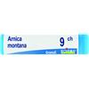 BOIRON Srl Boiron Arnica Montana 9CH Globuli Tubo