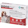 MSD ANIMAL HEALTH Srl PANACUR 10CPR 250MG