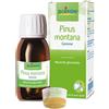 BOIRON Srl BO.PINUS MONT.MG 60ml