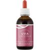 SPAZIO ECOSALUTE Srl UVA URSINA TM 50ml SZE