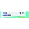 BOIRON Srl THUYA OCC.Dose 7CH