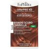 ZETA FARMACEUTICI SpA EUPHIDRA COLORPRO XD646 CANNEL